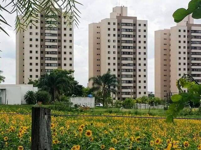 Apartamento para Venda em Campinas - 1